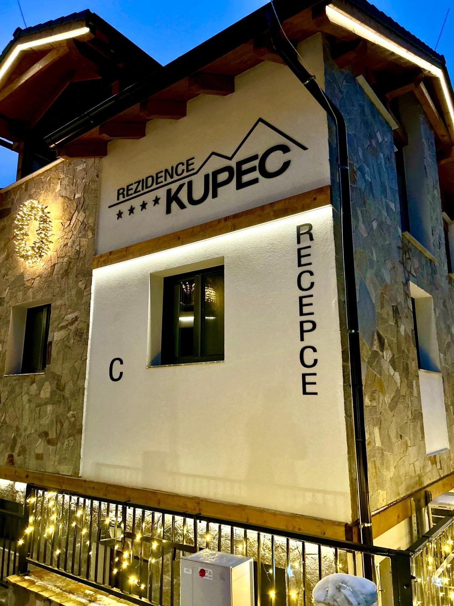 Rezidence Kupec Apartment Frymburk Bagian luar foto